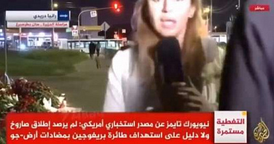 в карелии задержан мужчина, который напал на журналистку al jazeera возле «вагнер центра»